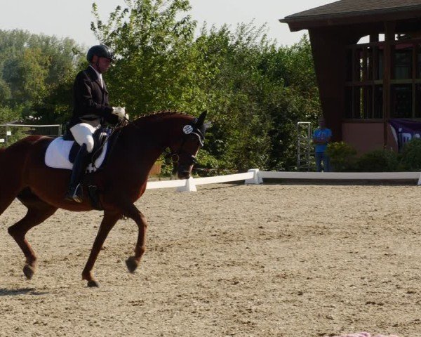 Reitturnier Rodgau-Weiskirchen 2024