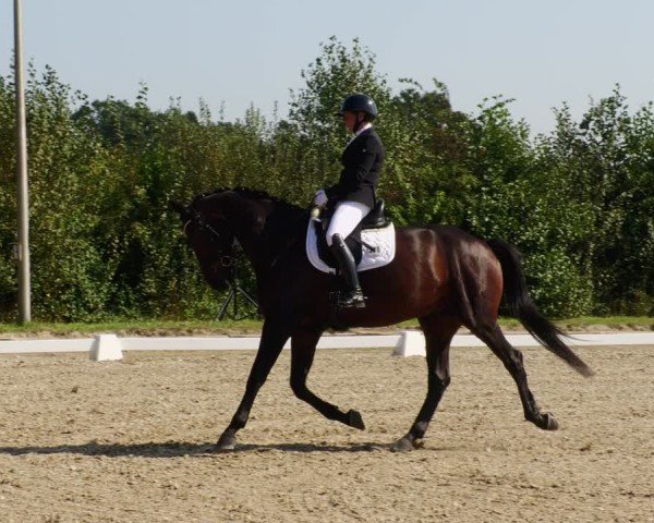Reitturnier Rodgau-Weiskirchen 2024
