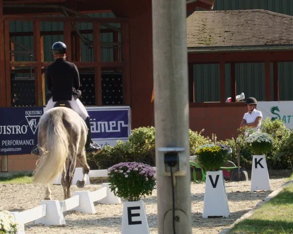 Reitturnier Rodgau-Weiskirchen 2024