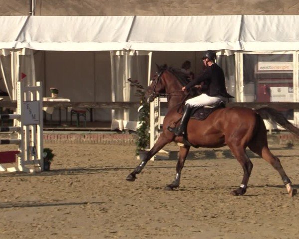 Reitturnier Buchenhof-Ibbenbüren 2024