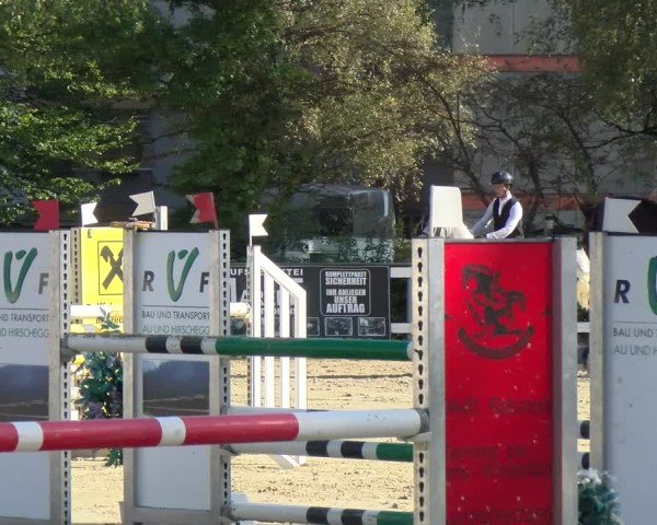 Reitturnier Bregenz 2024