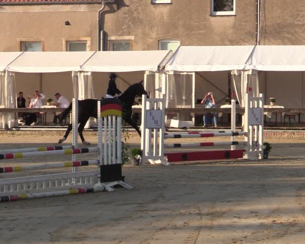 Reitturnier Buchenhof-Ibbenbüren 2024