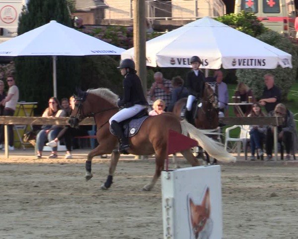 Reitturnier Buchenhof-Ibbenbüren 2024