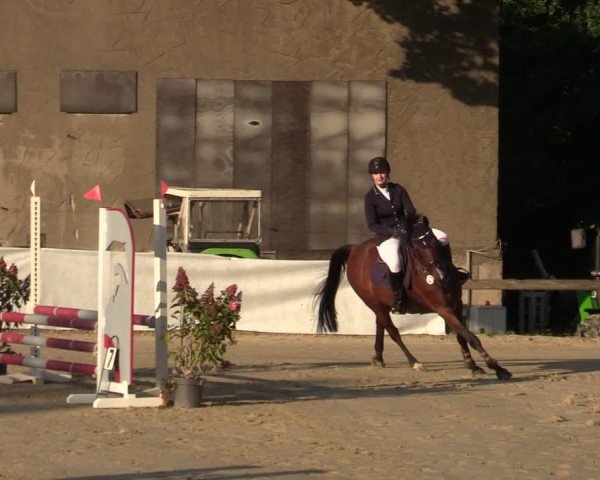Reitturnier Buchenhof-Ibbenbüren 2024