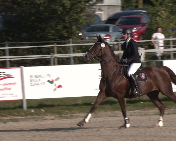 Reitturnier Langenfeld - Gut Langfort 2024