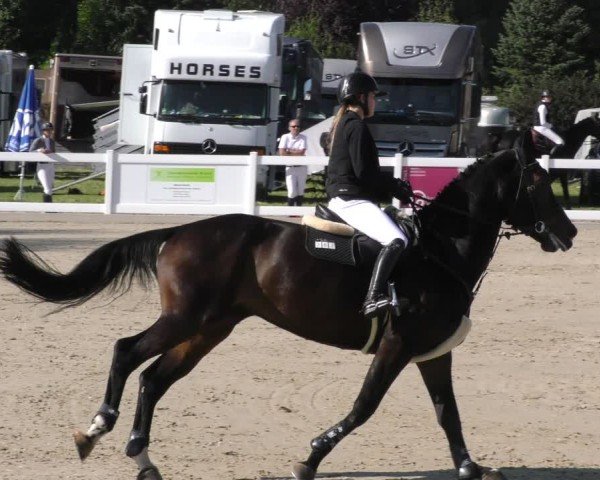Reitturnier Memmingen 2024
