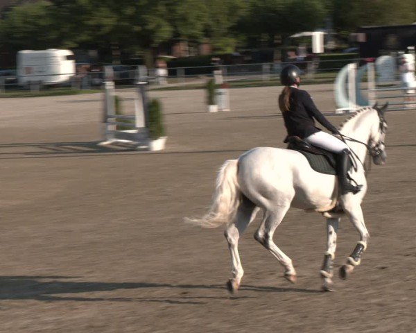 Reitturnier Langenfeld - Gut Langfort 2024