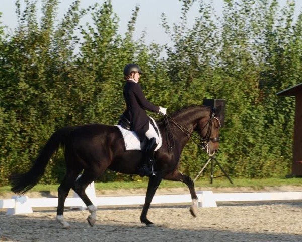 Reitturnier Rodgau-Weiskirchen 2024