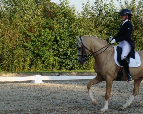 Reitturnier Rodgau-Weiskirchen 2024