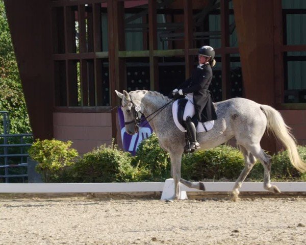 Reitturnier Rodgau-Weiskirchen 2024