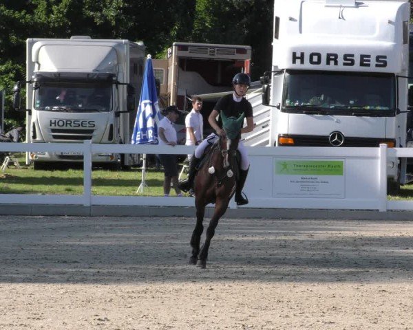 Reitturnier Memmingen 2024