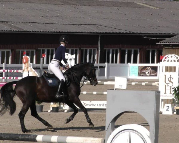 Reitturnier Memmingen 2024