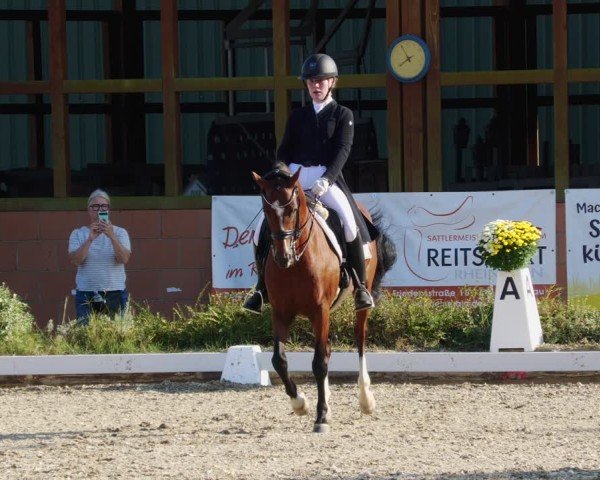 Reitturnier Rodgau-Weiskirchen 2024