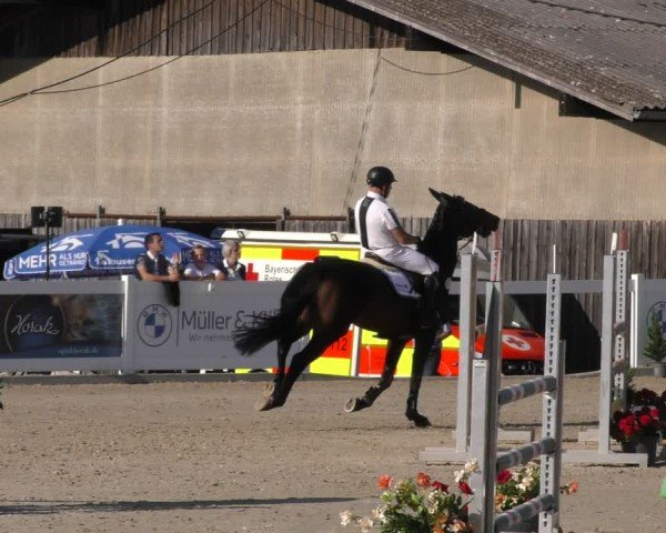 Reitturnier Memmingen 2024