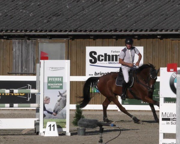 Reitturnier Memmingen 2024