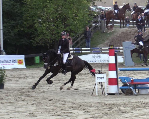 Reitturnier Buchenhof-Ibbenbüren 2024
