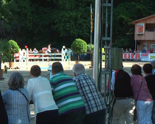 Lippische Reiterspiele 2013 Springen