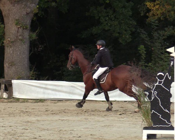 Reitturnier Buchenhof-Ibbenbüren 2024