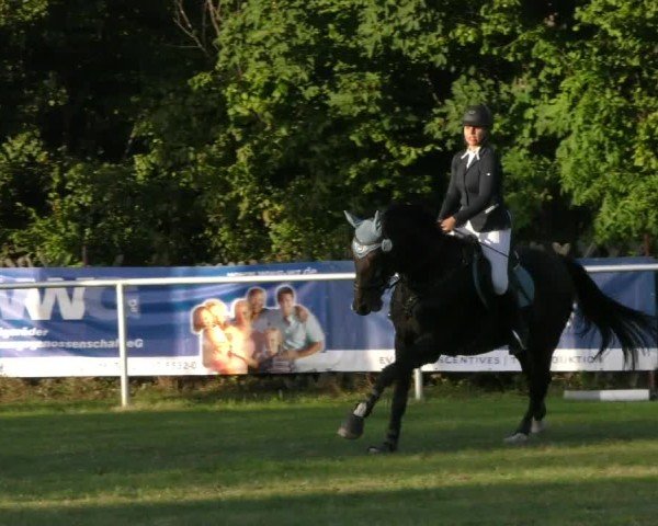 Reitturnier Wernigerode 2024
