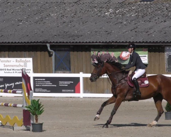 Reitturnier Memmingen 2024
