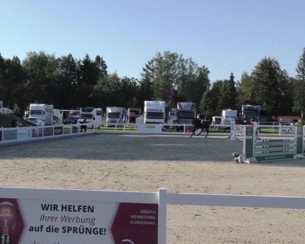 Reitturnier Memmingen 2024