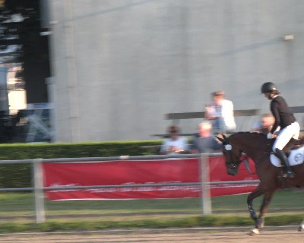 Reitturnier Langenfeld - Gut Langfort 2024