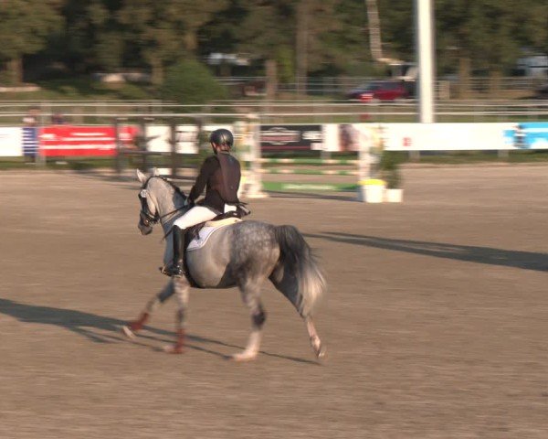 Reitturnier Langenfeld - Gut Langfort 2024