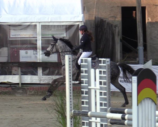 Reitturnier Buchenhof-Ibbenbüren 2024