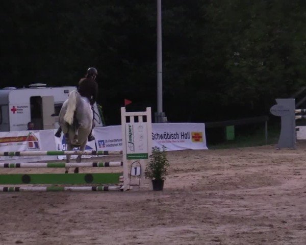 Reitturnier Buchenhof-Ibbenbüren 2024
