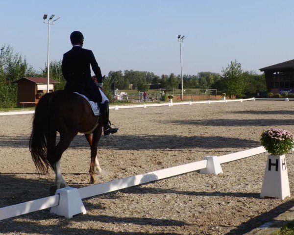 Reitturnier Rodgau-Weiskirchen 2024