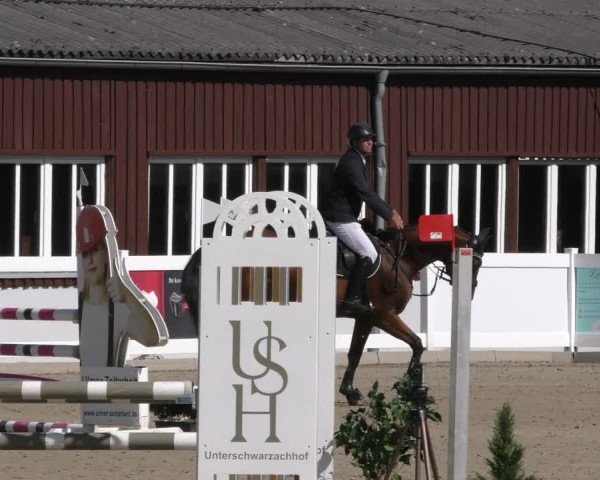 Reitturnier Memmingen 2024