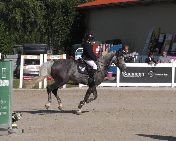 Reitturnier Memmingen 2024