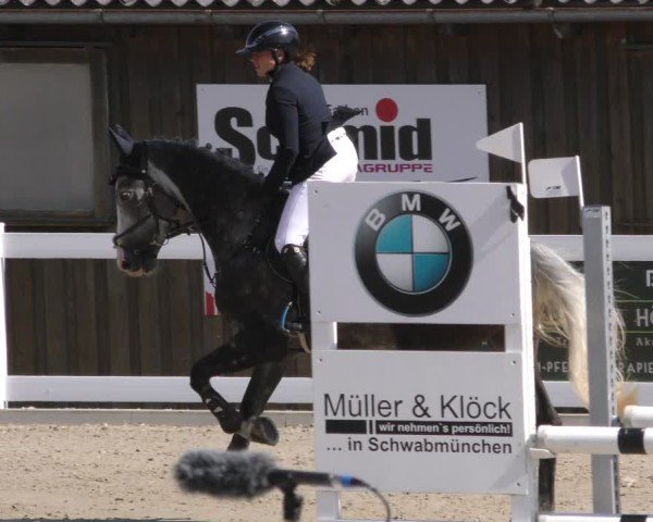 Reitturnier Memmingen 2024