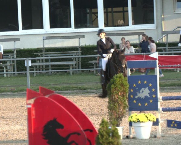 Reitturnier Langenfeld - Gut Langfort 2024