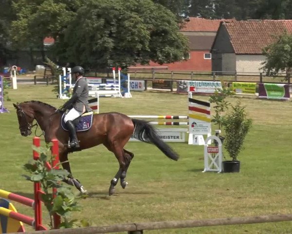 Engter 2013