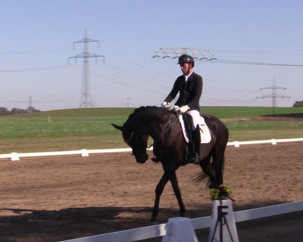 Reitturnier Crivitz 2024