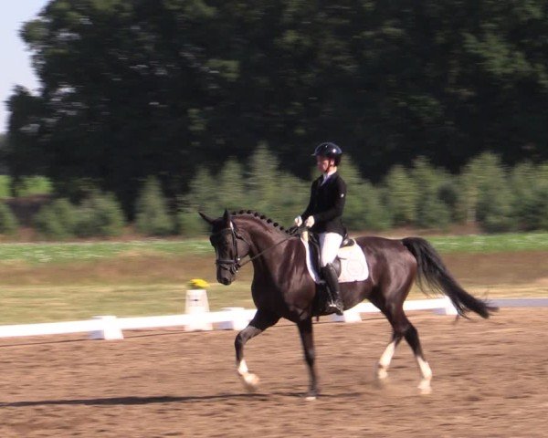 Reitturnier Crivitz 2024