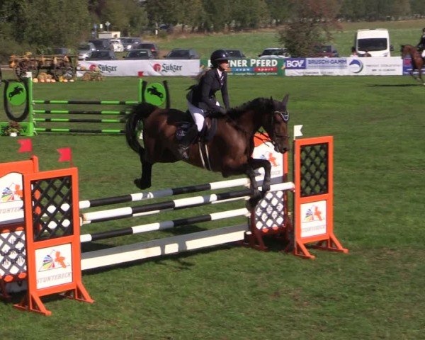 Reitturnier Crivitz 2024