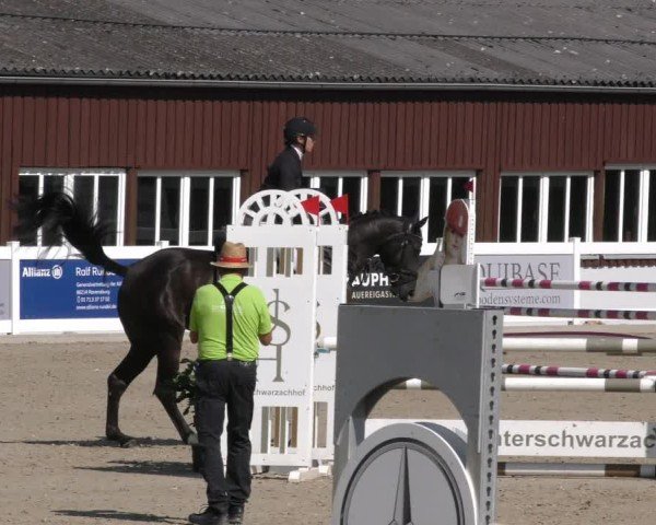 Reitturnier Memmingen 2024