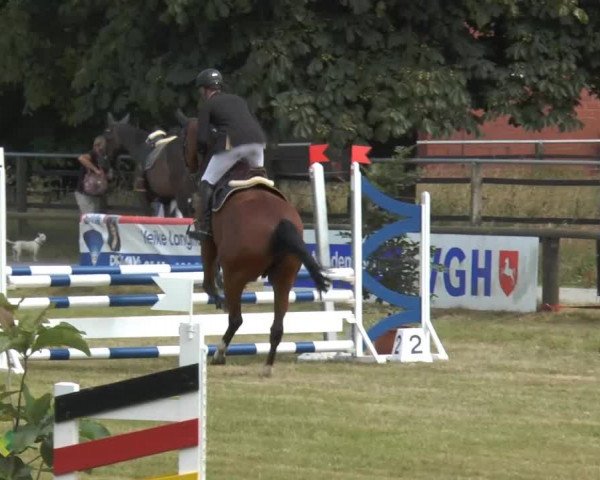 Engter 2013