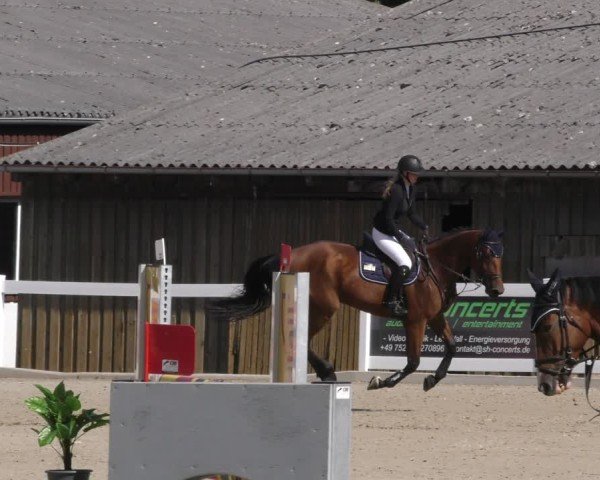 Reitturnier Memmingen 2024