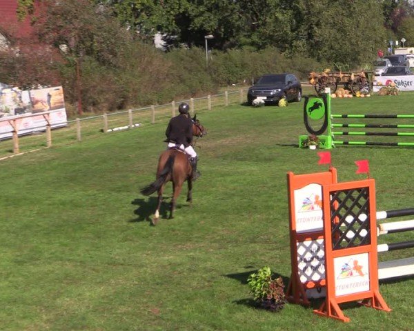 Reitturnier Crivitz 2024