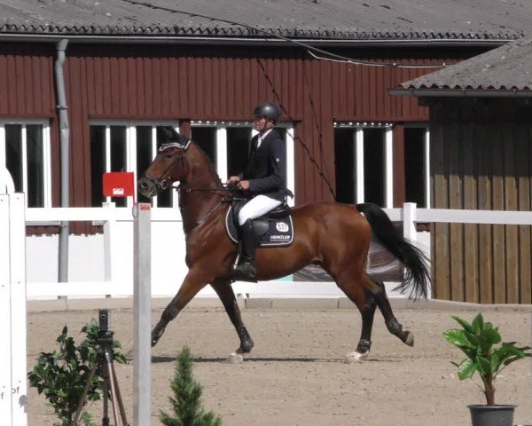 Reitturnier Memmingen 2024