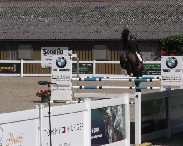 Reitturnier Memmingen 2024