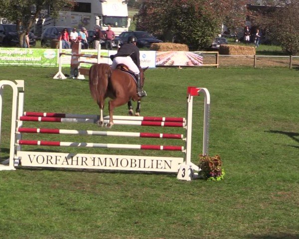 Reitturnier Crivitz 2024