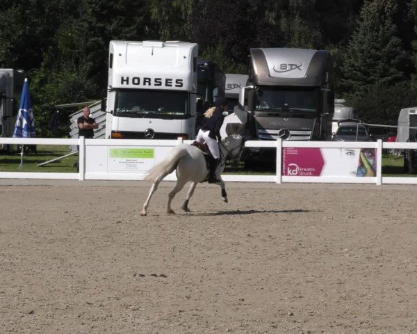 Reitturnier Memmingen 2024