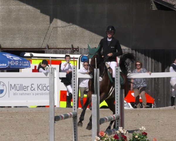 Reitturnier Memmingen 2024