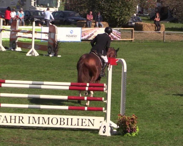 Reitturnier Crivitz 2024