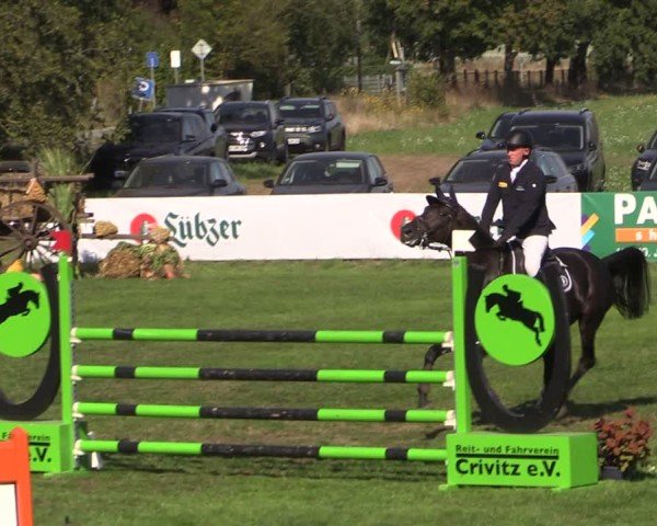 Reitturnier Crivitz 2024