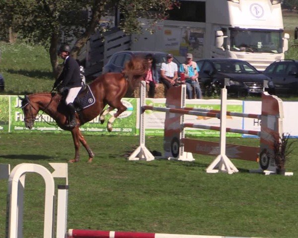 Reitturnier Crivitz 2024